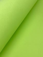 Зефирный фоамиран. Цвет (св.зелёно-жёлтый)