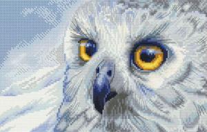 Новая слобода | Набор для вышивания нитками на канве с фоновым рисунком "Полярная сова". Размер - 25 х 15 см