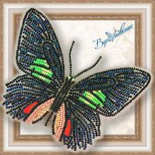 Набор для вышивки бисером на прозрачной основе "Бабочка "Parides sesostris zestos""