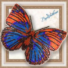 Набор для вышивки бисером на прозрачной основе "Бабочка "Агриас Нарцисс""