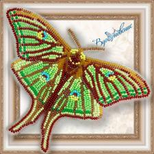 Набор для вышивки бисером на прозрачной основе "Бабочка "Грельсия Изабеллы""