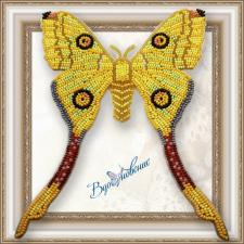 Набор для вышивки бисером на прозрачной основе "Бабочка "Мадагаскарская комета""