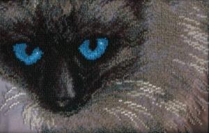 Чаривна мить | Сиамский кот. Размер - 22,5 х 15 см