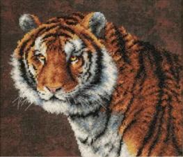 Dimensions | Tiger​​​​​​​​​​​​​​/Тигр. Размер - 36 х 30 см