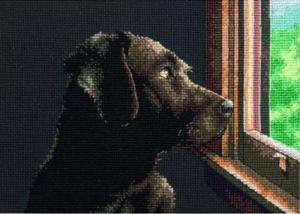 Dimensions | Pondering Pup​​​​​​​​​​​​​​/Размышления щенка. Размер - 17 х 12 см