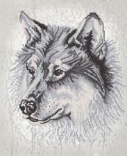 Маричка | Волк. Размер - 31 х 38 см