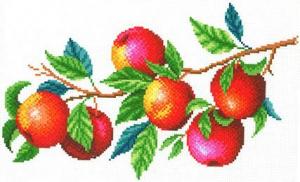МП Студия | Канва для вышивания крестиком "Урожай яблок". Размер - 40*30/30*20 см