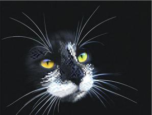 Чёрный кот. Размер - 34 х 28 см.