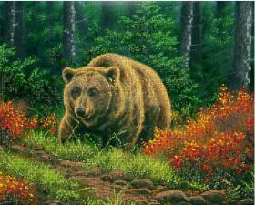 Бурый медведь. Размер - 40 х 32 см.