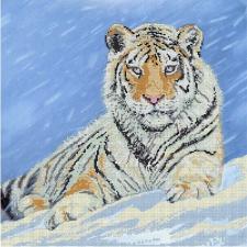 Сибирский тигр. Размер - 40 х 40 см.