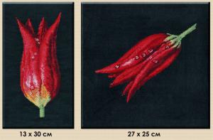 Тюльпаны-диптих. Размер - 13 х 30  см ;27 х 25 см.